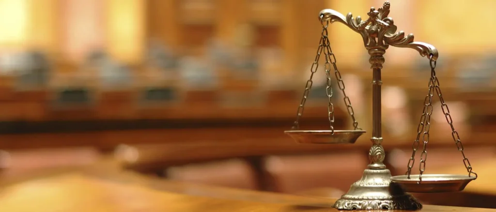 Expert Witness Report