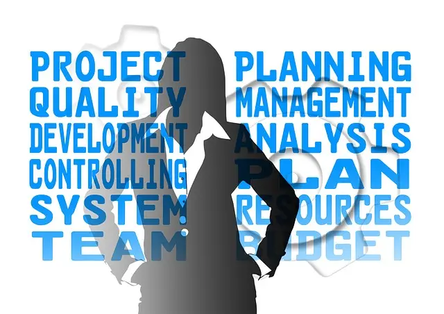 client side project manager