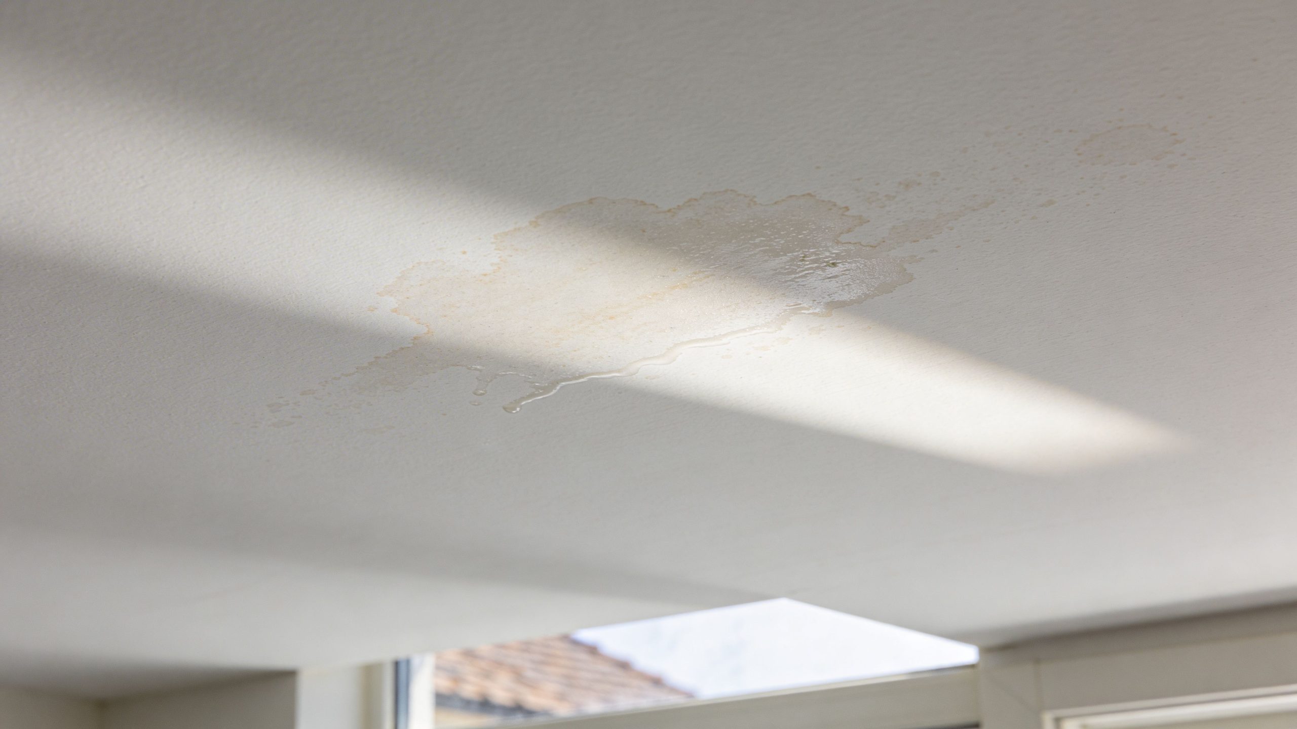 A water stain on a white ceiling caused by a leak, highlighting a potential home maintenance issue.