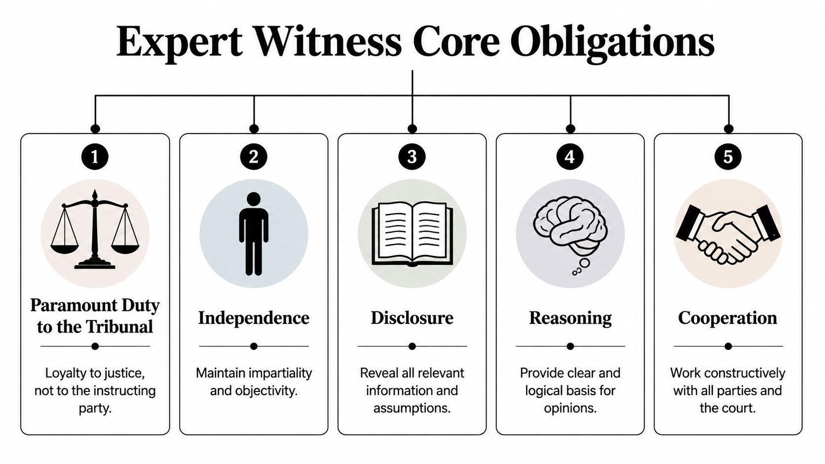 A diagram outlining the five core obligations for an expert witness in a legal tribunal setting.