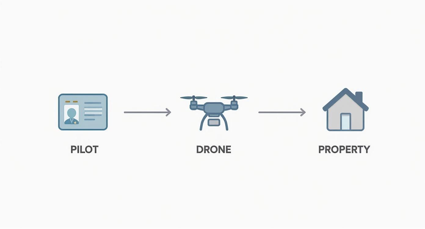 Infographic about drone roof inspections